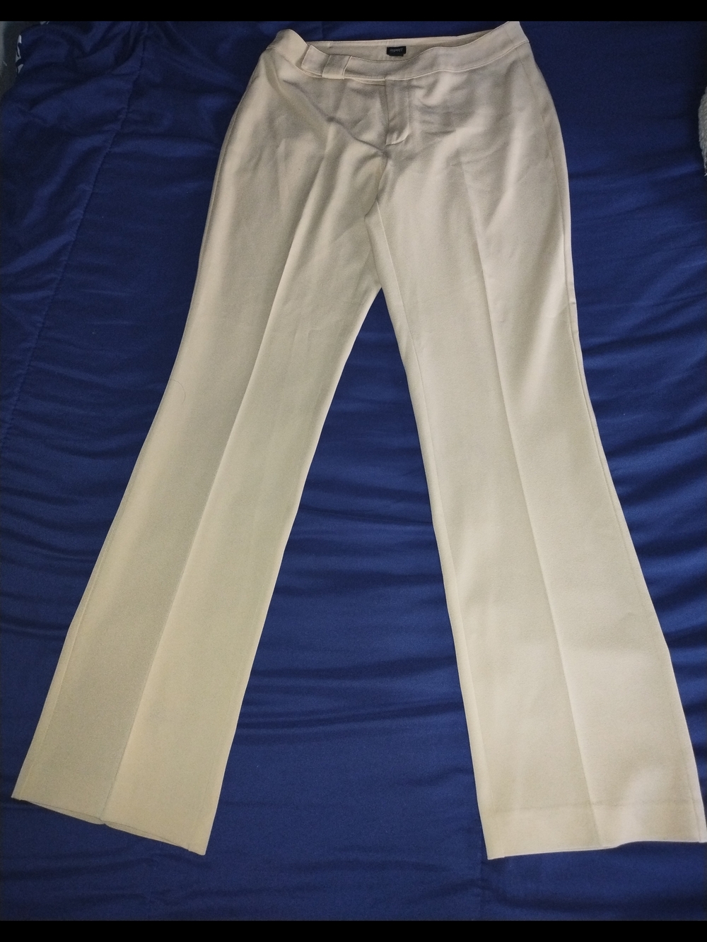 Spritz Cream Flare Dress Pants